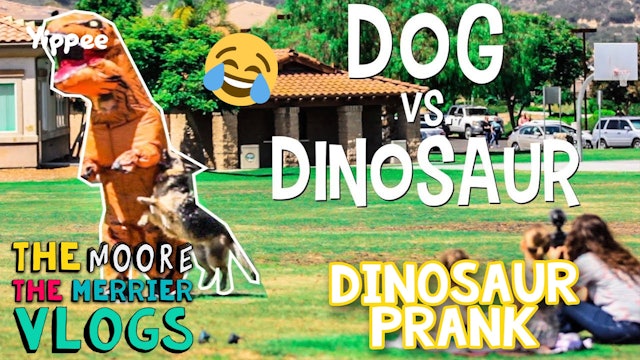 Dinosaur Prank - Family Vlog