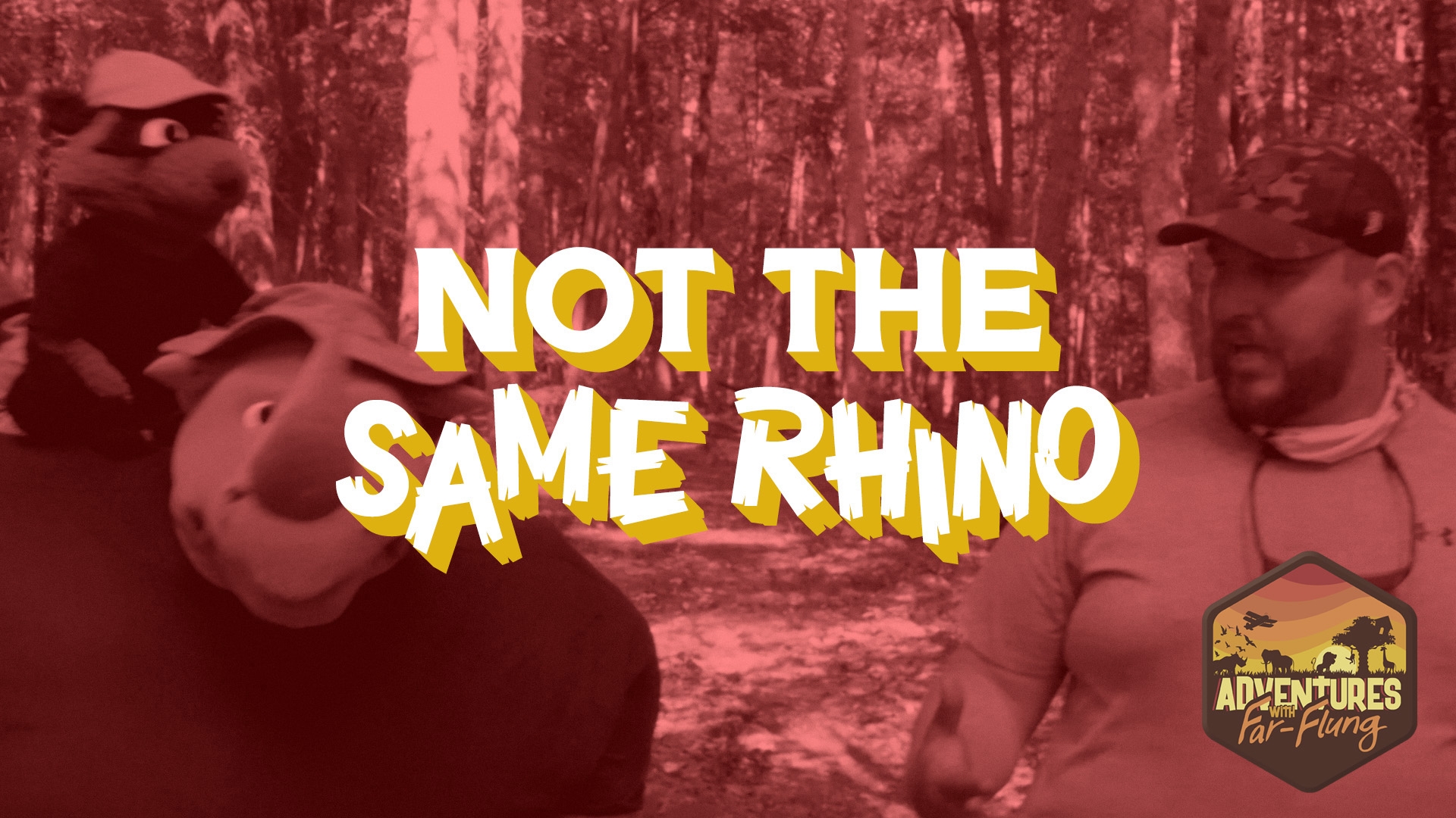 Not the Same Rhino