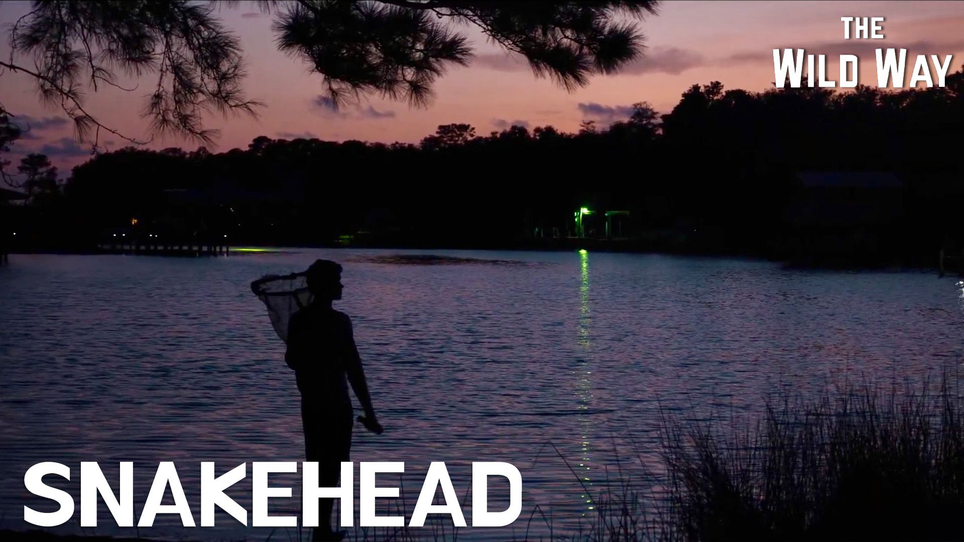 The Wild Way | Snakehead