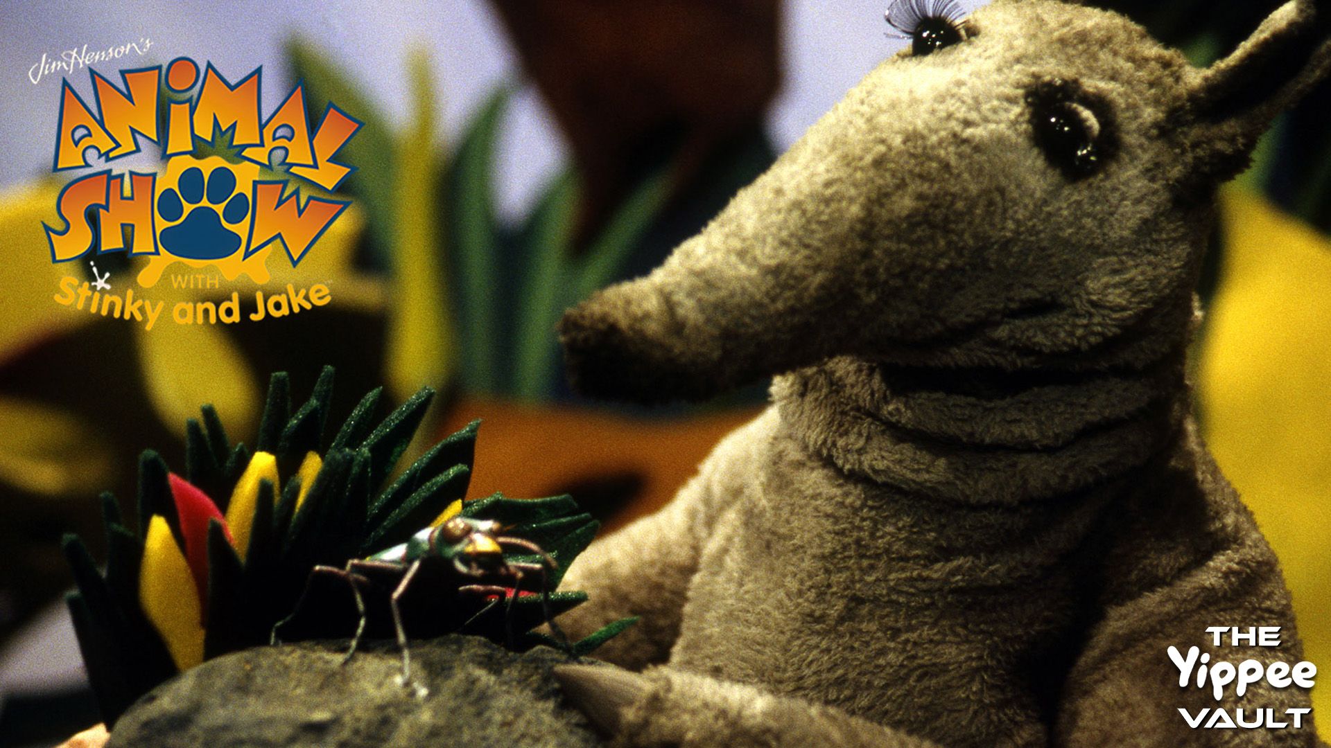 Tiger & Tiger Beetle