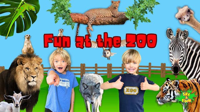 Fun At the Zoo
