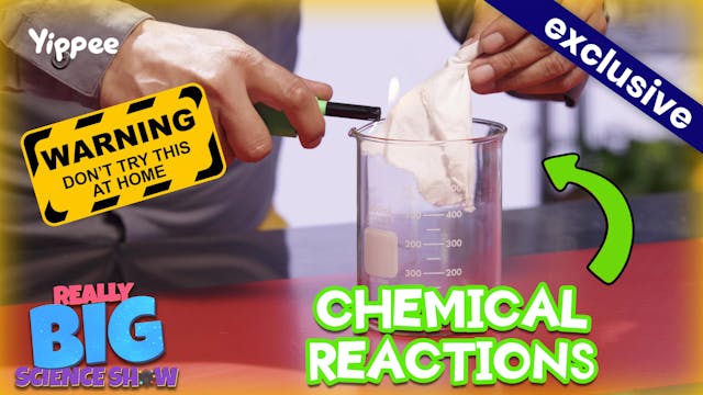 Chemical Reactions