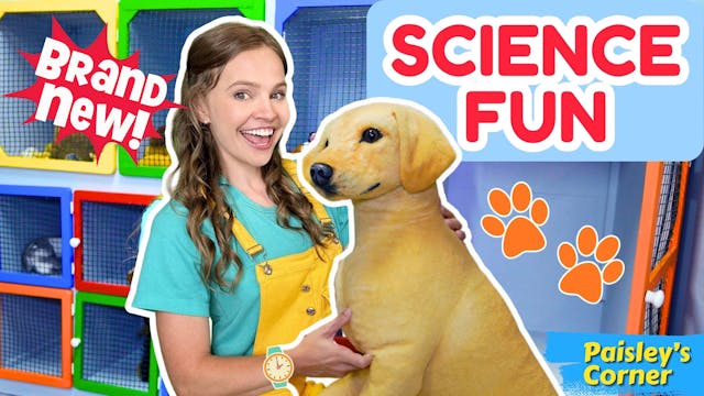 STEM for Kids at the Science and Disc...