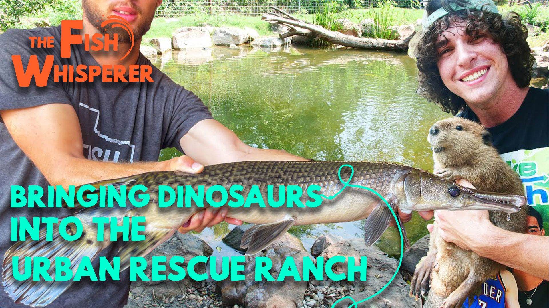 Bringing Dinosaurs to The Urban Rescue Ranch!