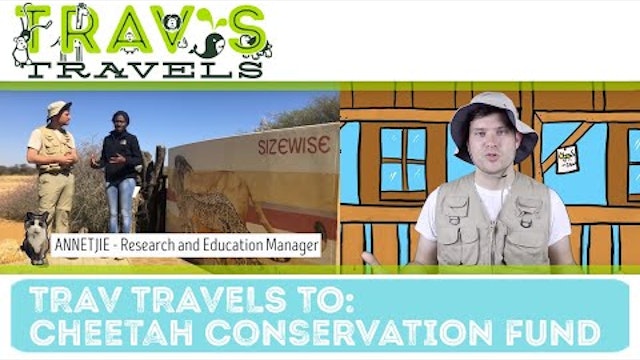 Trav's Travels - Cheetah Conservation Fund