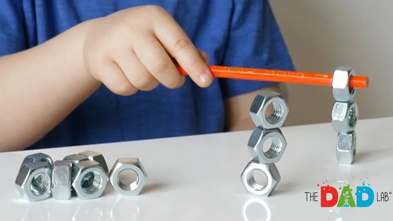 Pencil and Nuts | Preschool Activity - TheDadLab - Yippee - Faith ...