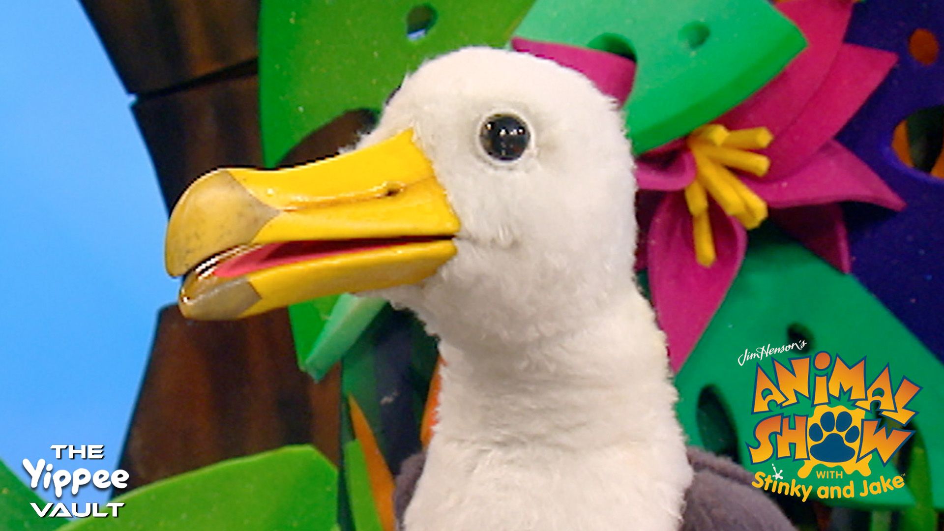 Albatross & Hummingbird