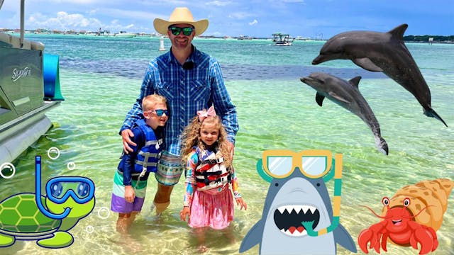 Cowboy Jack's Dolphin Tour Adventure