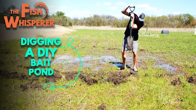 Digging a DIY Bait Pond (Part 1)