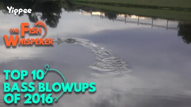 Top 10 Bass Blowups of 2016!