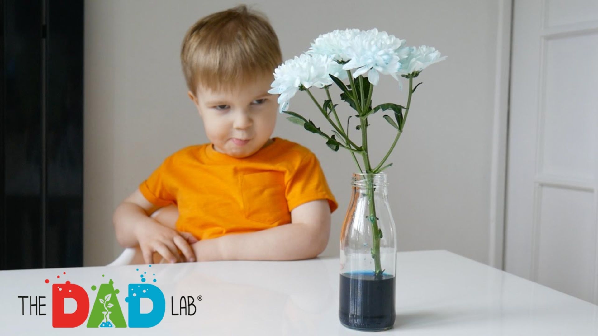 Science project for Mother's Day