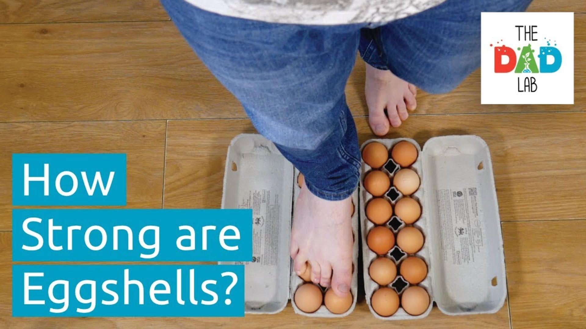 Walking on Eggs | Kids Science Experiment