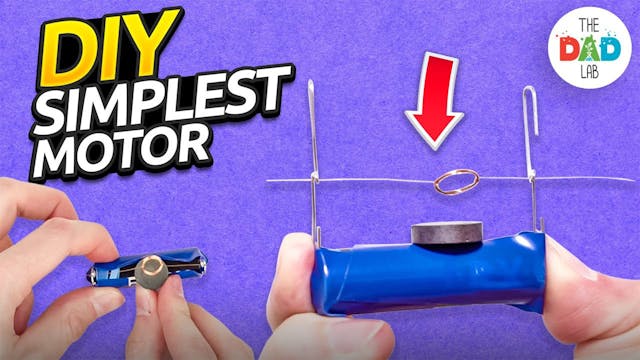 How to Build a Simple Electric Motor