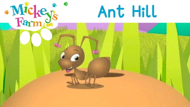 Ant Hill