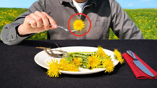 I Tested 3 Surprising Ways to Eat Dan...
