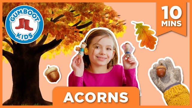 Acorns
