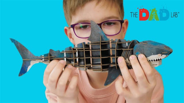 Fun Sea Animal Educational Toys For K...