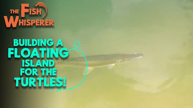 Building a Floating Island for the Tu...