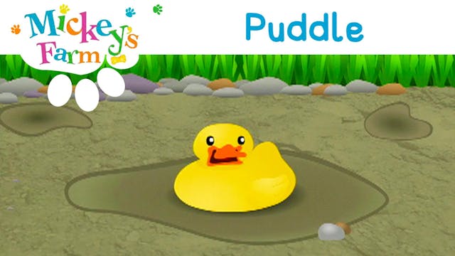 Puddle