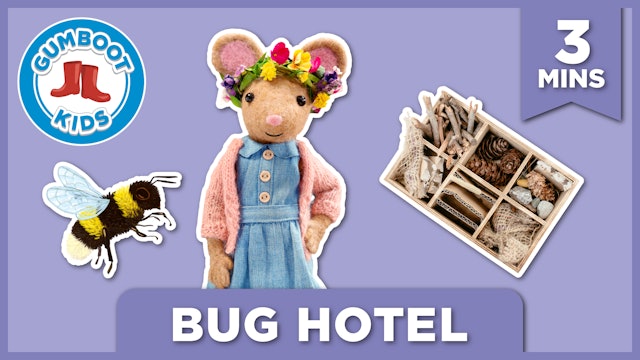 Episode 5 | Bug Hotel