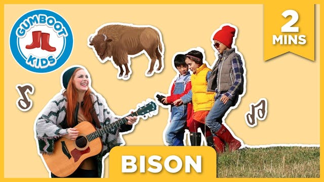 Episode 56 | Bison