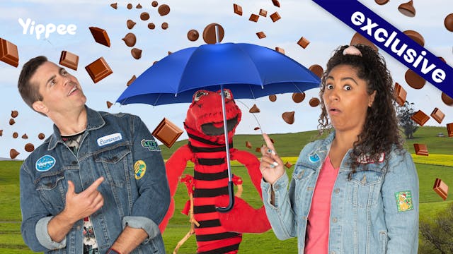 Winning Chocolates with Belgian Trivia!