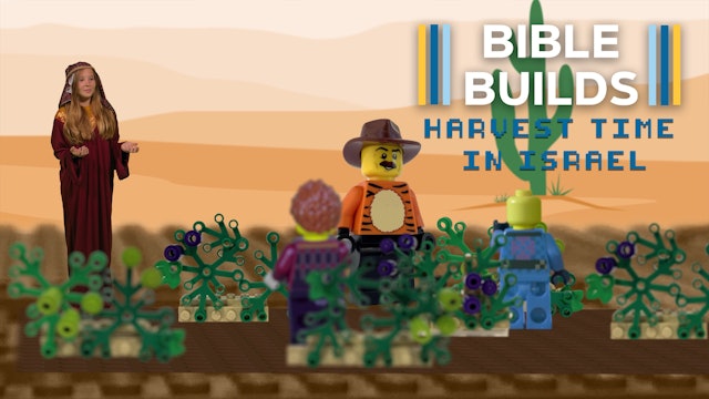 Bible Builds #80 - Harvest Time In Israel