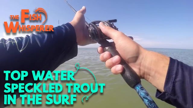 Topwater Speckled Trout in the Surf