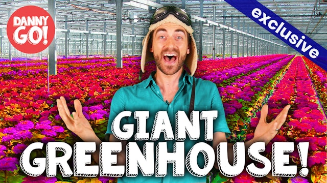 GIANT GREENHOUSE!