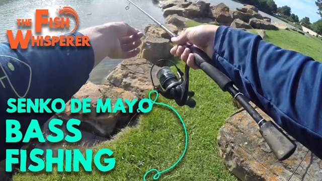 Senko de Mayo Bass Fishing
