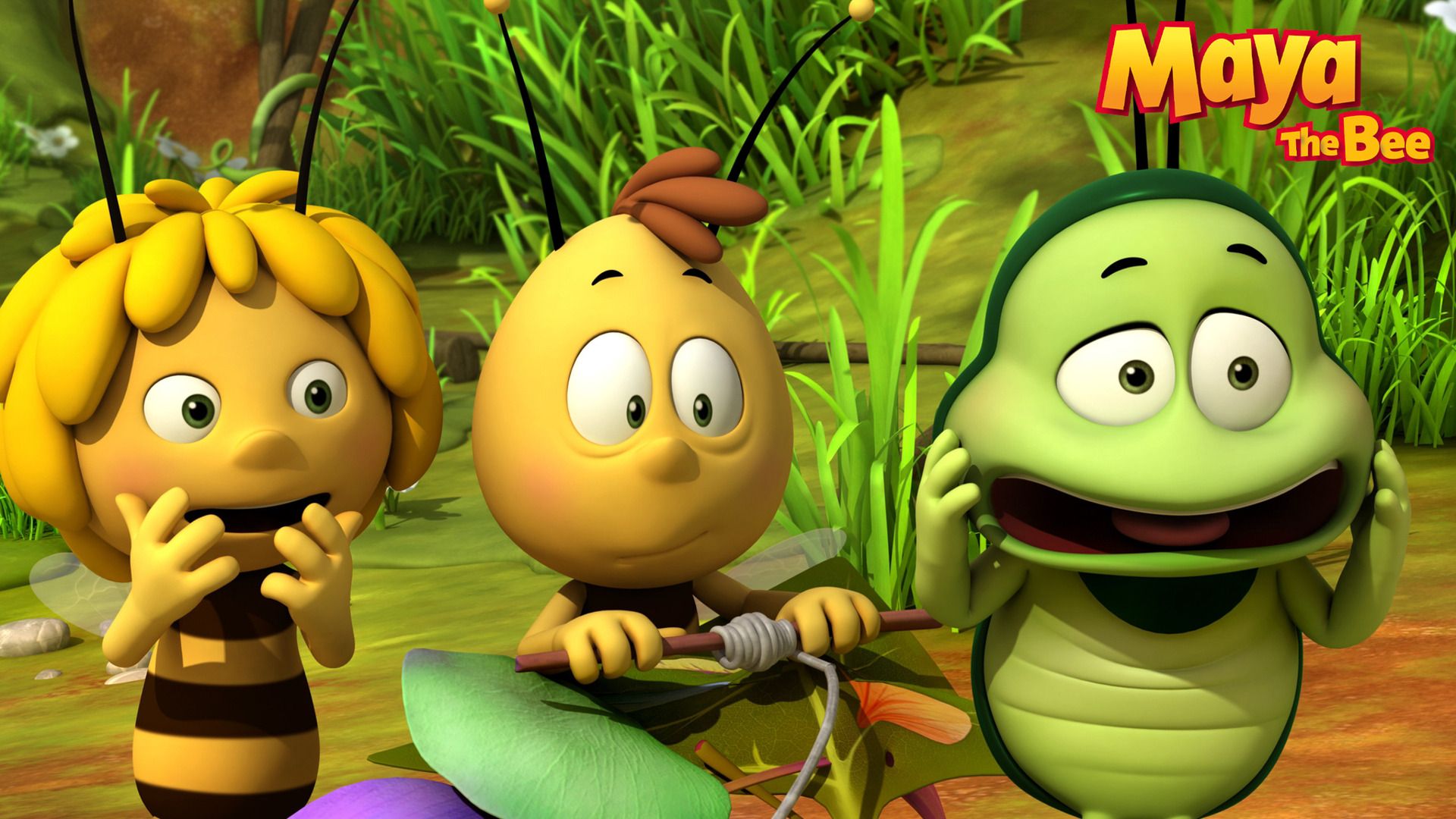 Mrs. Hermit Beetle's Journey