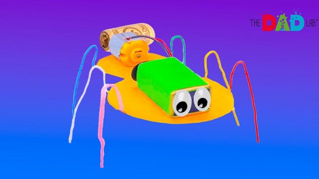 How to Make Vibrating Bug | STEM DIY ...