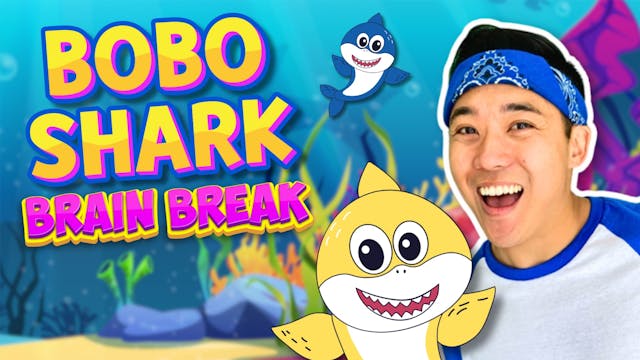 Bobo Shark