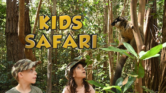 Kids Safari