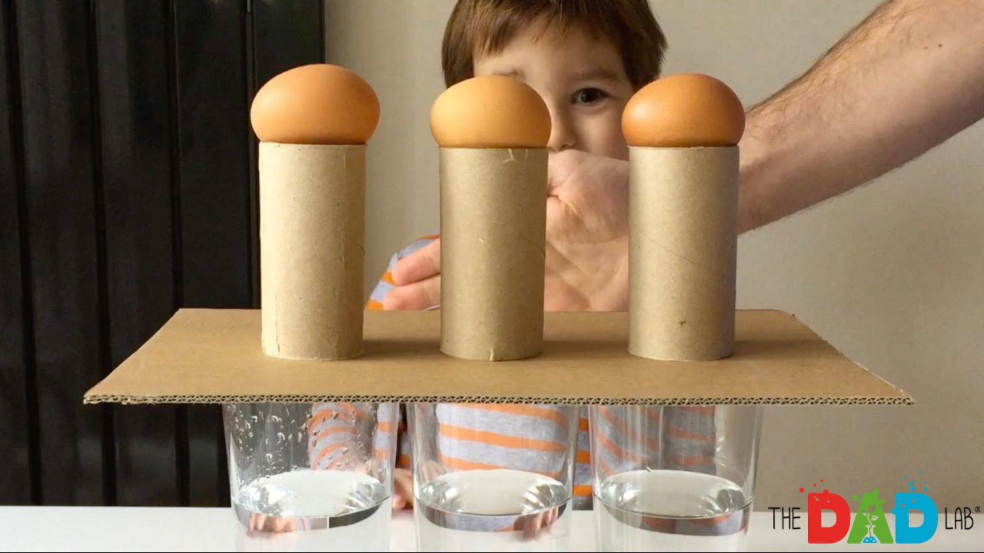 Simple Science Experiments You Can Do With Eggs