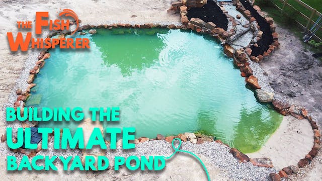 Building The Ultimate Backyard Pond! ...