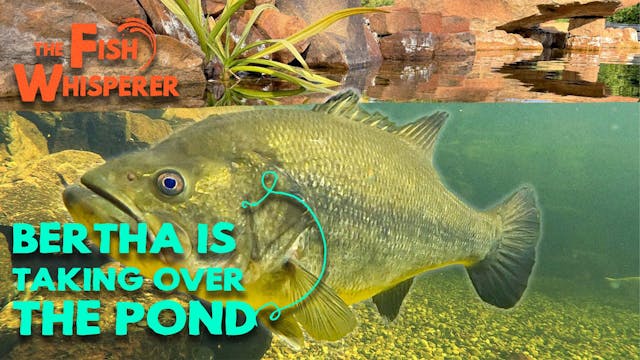 Bertha is Taking Over the Pond!