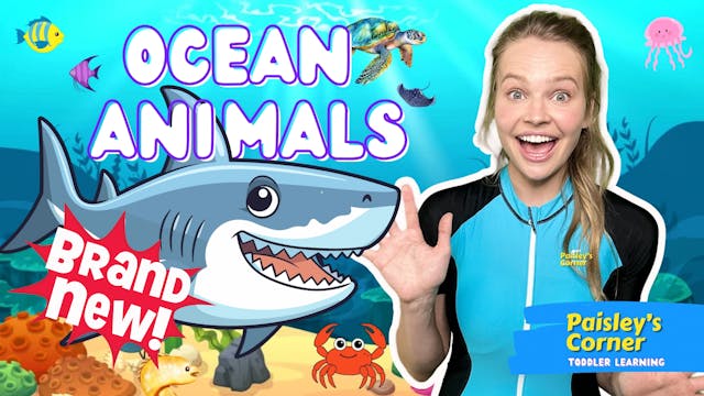 Learn Ocean Animals