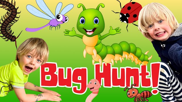 Bug Hunt