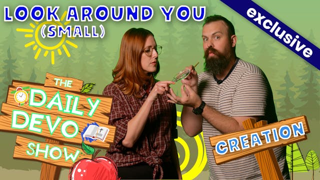 #133 - Look Around You (Small)