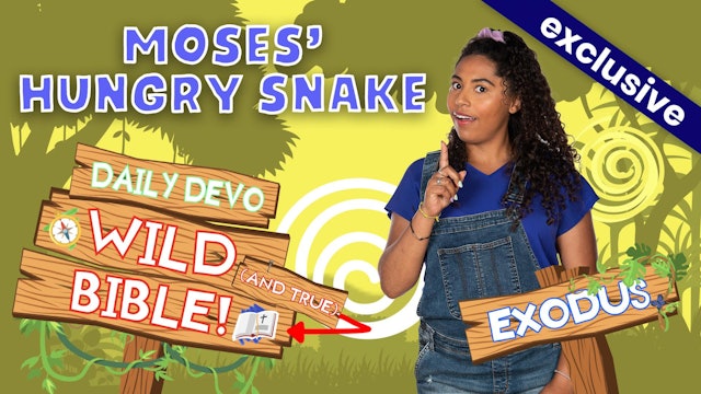 #623 - Moses' Hungry Snake