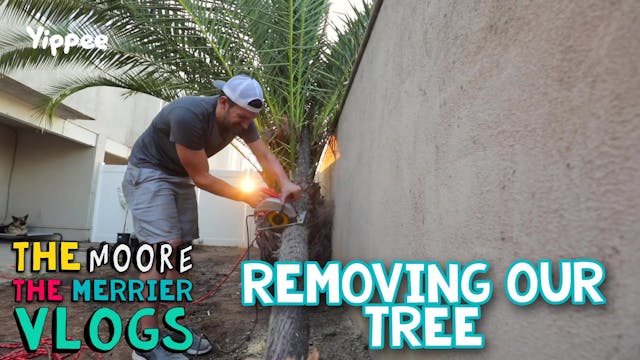 Removing Our Tree