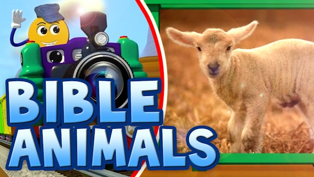PicTrain | 04 | Real Bible Animals 