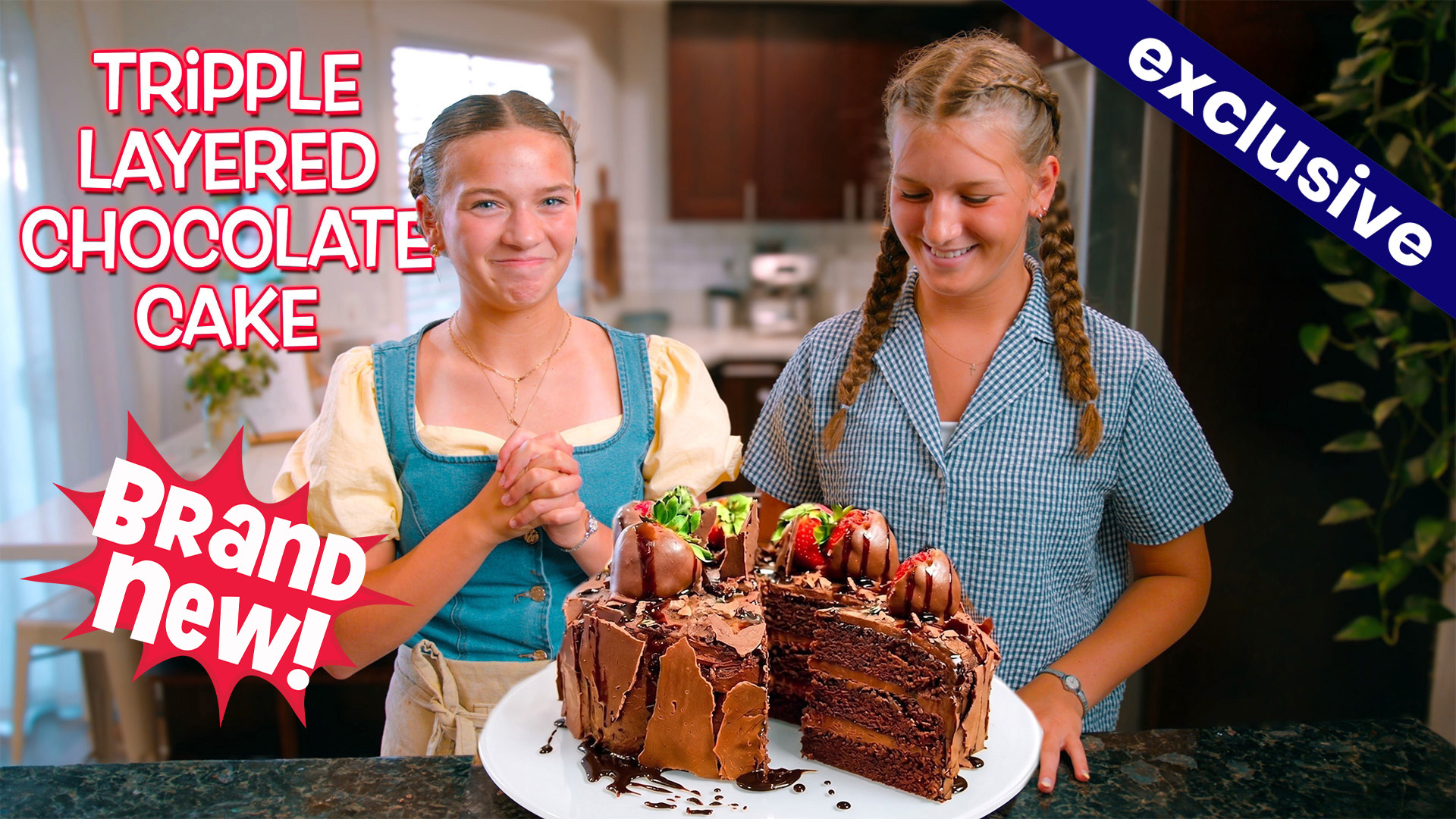 Triple Layer Chocolate Cake