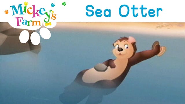 Sea Otter