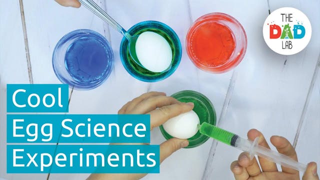 5 Egg Experiments Everyone Needs To Try