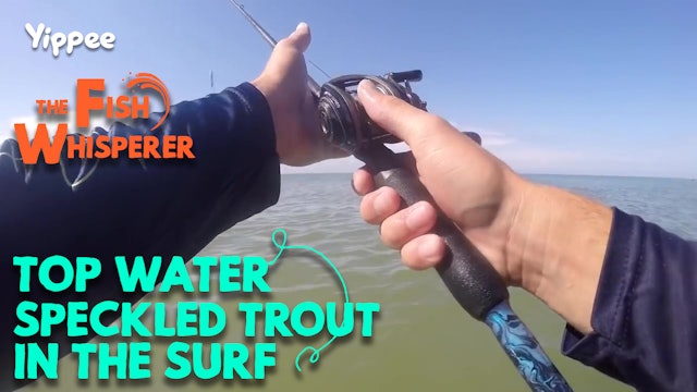 Topwater Speckled Trout in the Surf