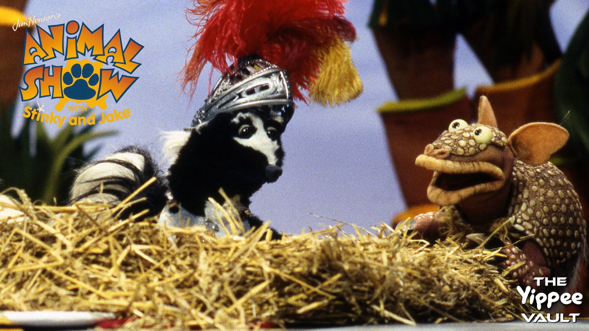 Crocodile & Armadillo