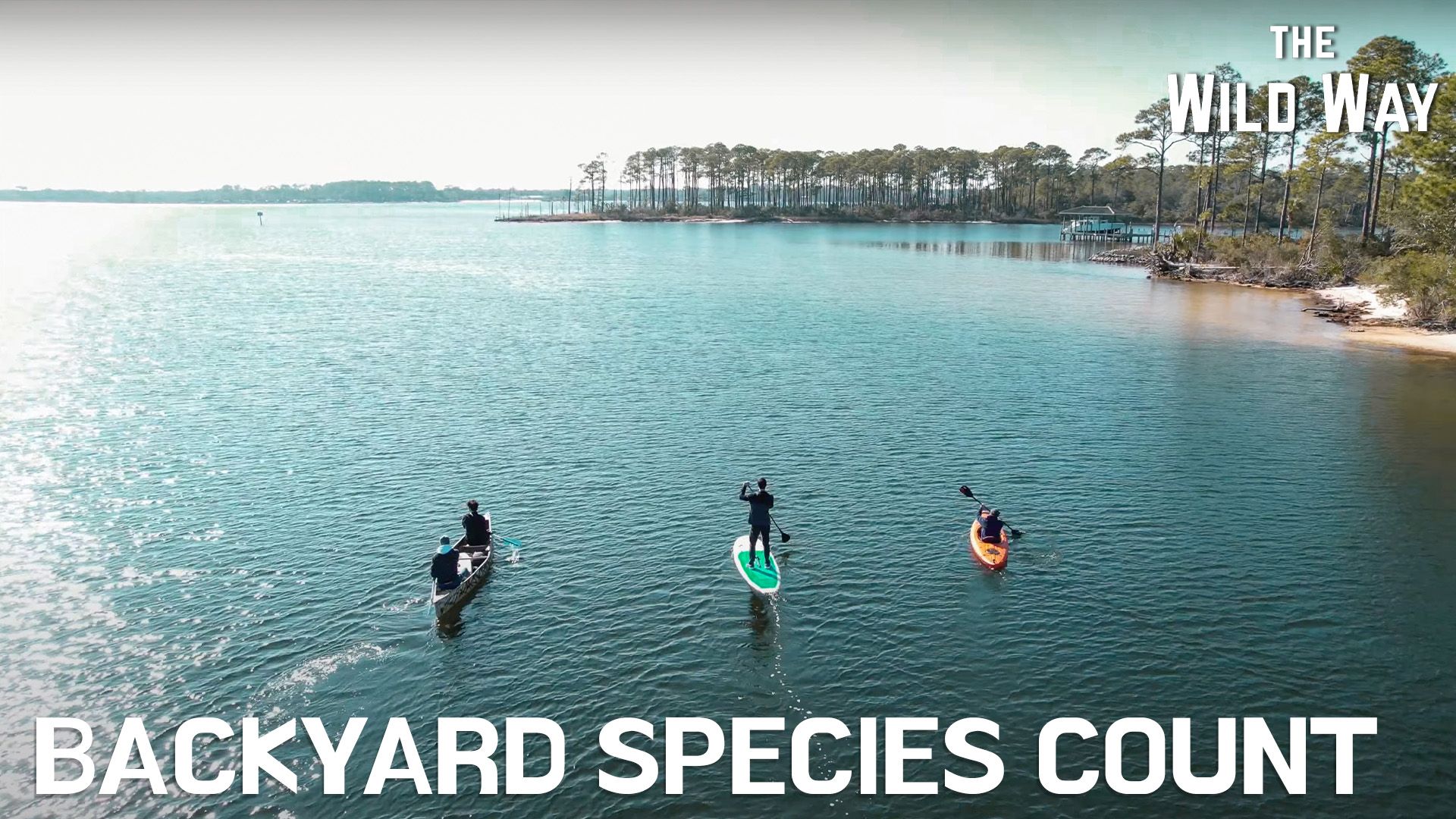 The Wild Way | Backyard Species Count