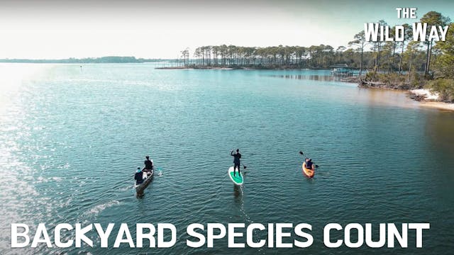 The Wild Way | Backyard Species Count
